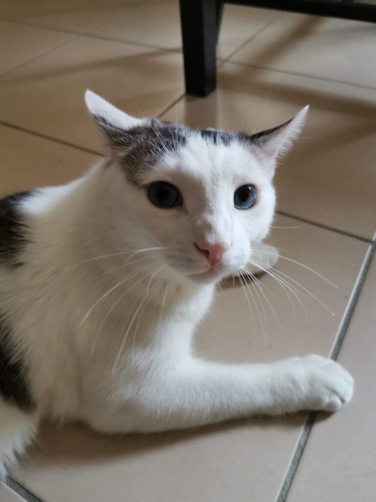 YUKI